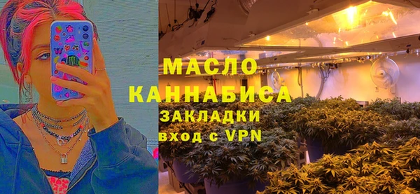 СК Алексин