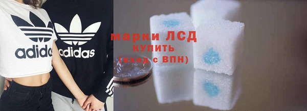 СК Алексин