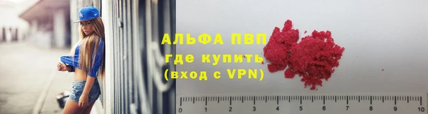 ешки Абаза