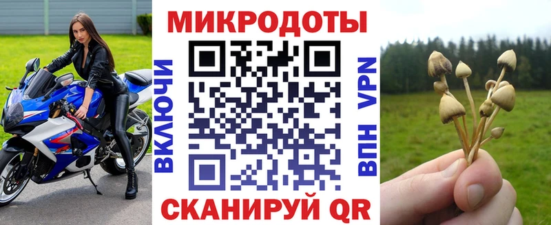 mega зеркало  Ядрин  Псилоцибиновые грибы Magic Shrooms  купить наркотик 